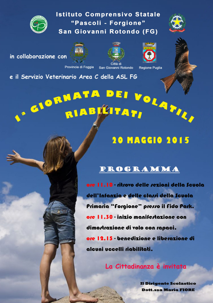 locandina liberazione volatil